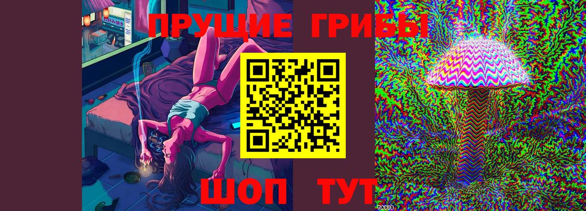 Псилоцибиновые грибы Psilocybe Кропоткин