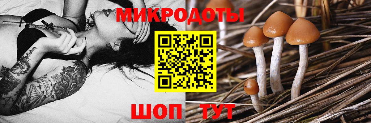 Псилоцибиновые грибы Cubensis  Вход с VPN  Кропоткин  Галлюциногенные грибы прущие грибы 